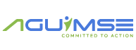 AGUIMSE | Consultoría Empresarial